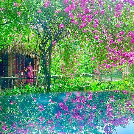 Maison Teahouse Homestay Ха Жианг Екстериор снимка