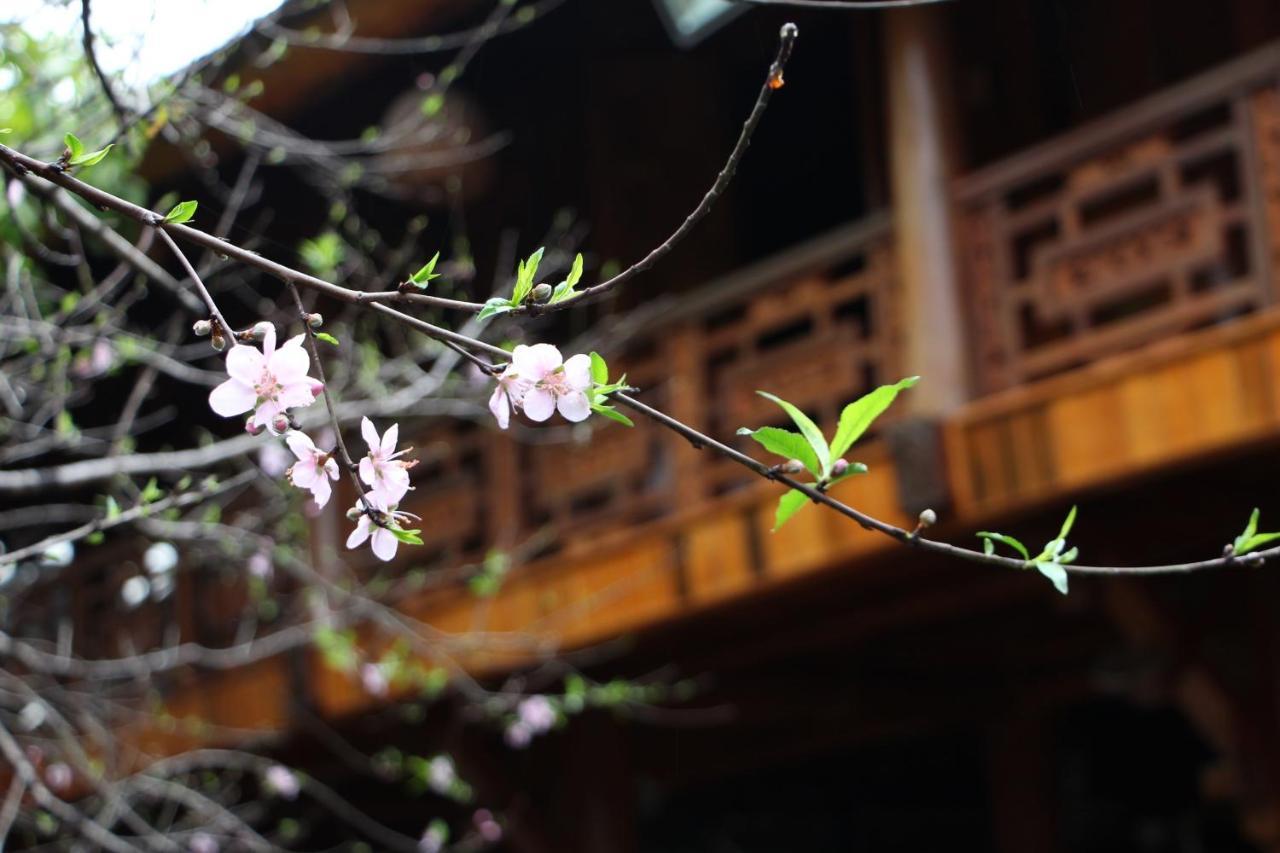 Maison Teahouse Homestay Ха Жианг Екстериор снимка