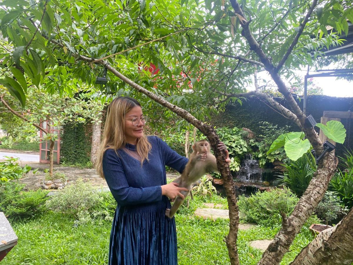 Maison Teahouse Homestay Ха Жианг Екстериор снимка