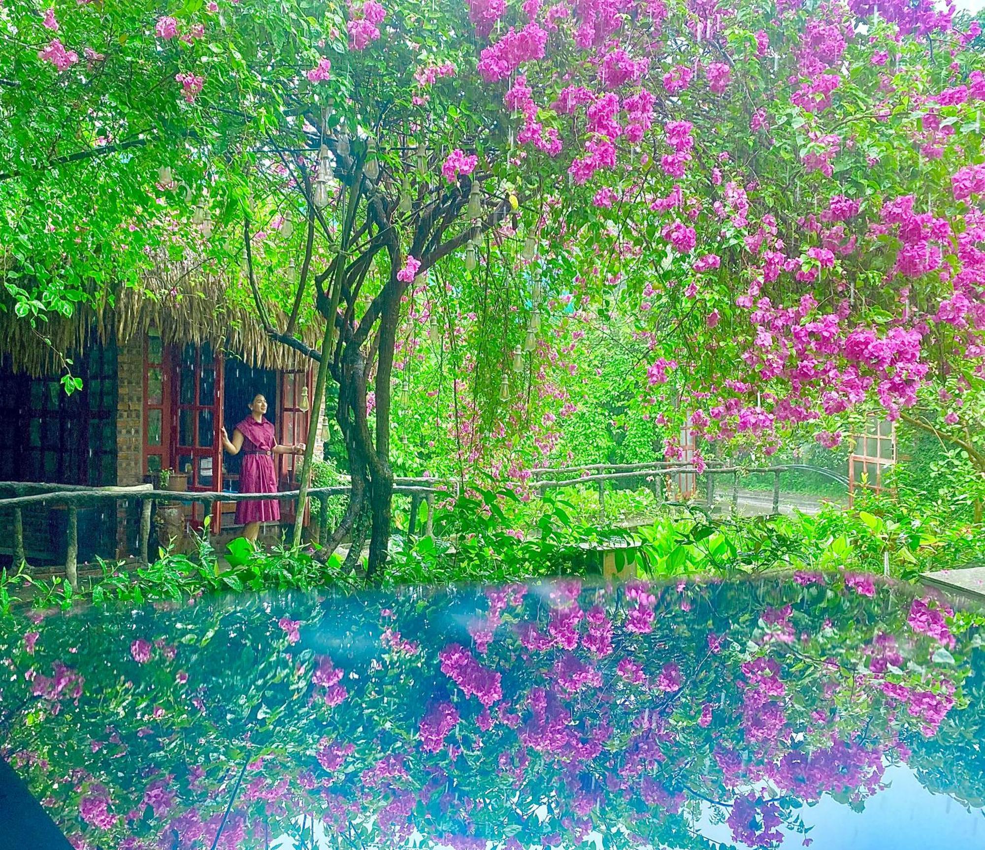 Maison Teahouse Homestay Ха Жианг Екстериор снимка